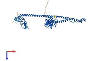 TRIM27 Protein (AA 1-513) (His tag)