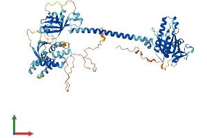 Protein Structure (PS) image for Guanylate Cyclase 1 Soluble Subunit Alpha (GUCY1A1) (AA 1-690) protein (His tag) (ABIN7547918)
