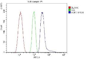 Flow Cytometry analysis of HL-60 cells using anti-IKZF2 antibody (ABIN7599427). (IKZF2 Antikörper  (AA 1-477))