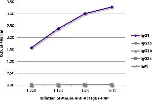 ELISA plate was coated with purified rat IgG1, IgG2a, IgG2b, IgG2c, and IgM. (Maus anti-Ratte IgG1 Antikörper (HRP))