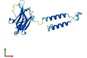 AlphaFold protein structure predicition of Mouse Recombinant Hikeshi Protein, UniprotID Q9DD02