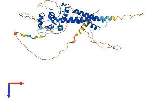 TFAP2B Protein (AA 1-460) (His tag)