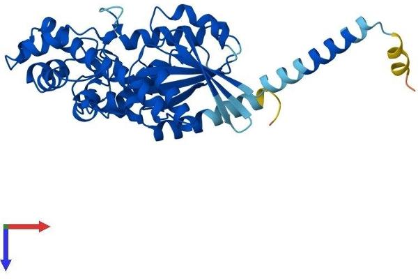 GNAQ Protein (AA 1-359) (His tag)