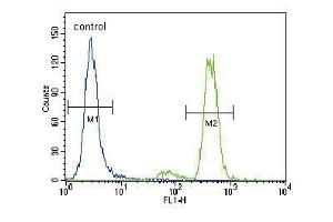 PKC alpha Antibody (C-term) (ABIN391001 and ABIN2841177) flow cytometric analysis of Hela cells (right histogram) compared to a negative control cell (left histogram). (PKC alpha Antikörper  (C-Term))