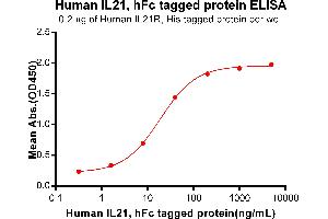 ELISA image for Interleukin 21 (IL21) (AA 30-162) protein (Fc Tag) (ABIN6964397)
