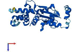 AlphaFold protein structure predicition of Human Recombinant ACTL10 Protein, UniprotID Q5JWF8