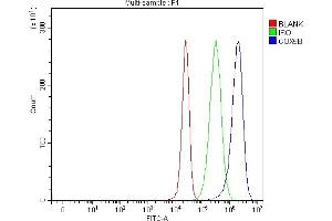 Flow Cytometry analysis of 293T cells using anti-COX5B antibody (ABIN7598975). (COX5B Antikörper  (AA 1-129))