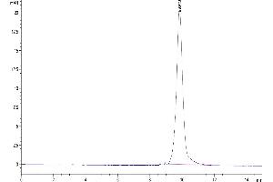 Size-exclusion chromatography-High Pressure Liquid Chromatography (SEC-HPLC) image for Interleukin 3 (IL-3) (AA 20-152) protein (His-Avi Tag,Biotin) (ABIN7274941)