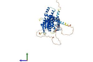 AlphaFold protein structure predicition of Human Recombinant FLCN Protein, UniprotID Q8NFG4