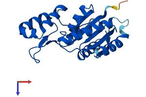 SSU72 Protein (AA 1-194) (His tag)