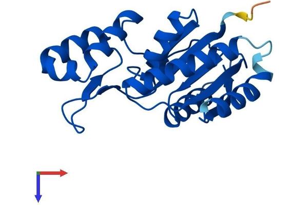 SSU72 Protein (AA 1-194) (His tag)