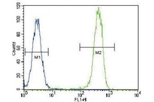 Anti-PCNA antibody flow cytometric analysis of HeLa cells (right histogram) compared to a negative control cell (left histogram). (PCNA Antikörper  (AA 89-117))