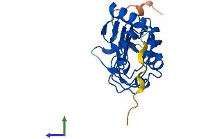 Protein Structure (PS) image for Leucine Rich Transmembrane and 0-Methyltransferase Domain Containing (LRTOMT) (AA 1-192) protein (His tag) (ABIN7561227)