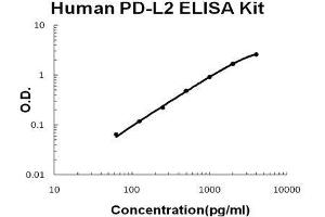 Human PD-L2/B7-DC PicoKine ELISA Kit standard curve (PDCD1LG2 ELISA Kit)