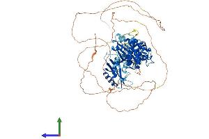 Protein Structure (PS) image for MAP/microtubule Affinity-Regulating Kinase 2 (MARK2) (AA 1-776) protein (His tag) (ABIN7563596)