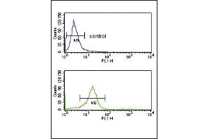 Flow Cytometry (FACS) image for anti-Opioid Receptor, mu 1 (OPRM1) (AA 161-187) antibody (ABIN653074)