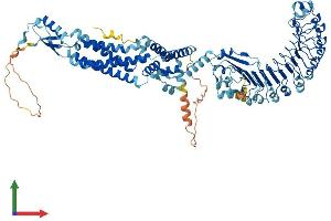 Protein Structure (PS) image for Leucine Rich Repeat Containing 8 Family, Member C (LRRC8C) (AA 1-803) protein (His tag) (ABIN7554424)