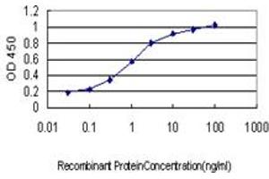 Detection limit for recombinant GST tagged NDST1 is approximately 0. (NDST1 Antikörper  (AA 38-136))