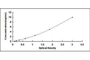 CDK1 ELISA Kit