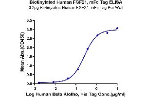 ELISA image for Fibroblast Growth Factor 21 (FGF21) (AA 29-209) protein (mFc-Avi Tag,Biotin) (ABIN7274636)