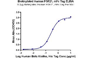 Immobilized Biotinylated Human FGF21, mFc Tag at 2 μg/mL (100 μL/well) on the streptavidin precoated plate (5 μg/mL). (FGF21 Protein (AA 29-209) (mFc-Avi Tag,Biotin))