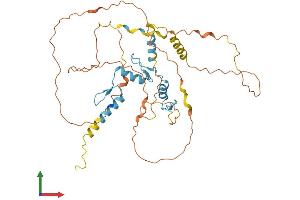 AlphaFold protein structure predicition of Mouse Recombinant Sp5 Protein, UniprotID Q9JHX2