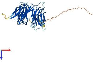 SEH1L Protein (AA 1-360) (His tag)