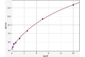 ABCA7 ELISA Kit