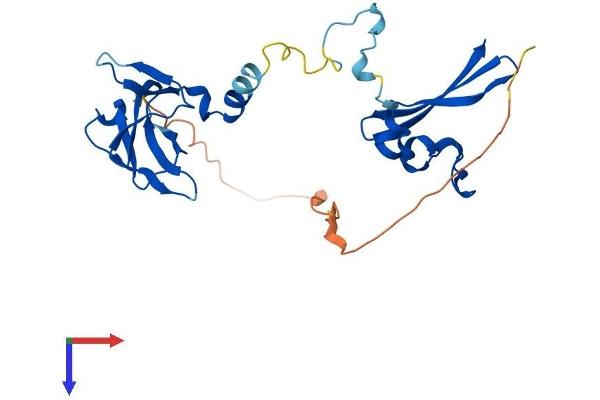 PRKAB2 Protein (AA 1-271) (His tag)