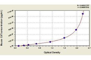 Typical standard curve (Catalase ELISA Kit)