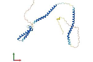 Protein Structure (PS) image for NSL1, MIND Kinetochore Complex Component, Homolog (NSL1) (AA 1-281) protein (His tag) (ABIN7549927)