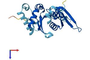 RPS7 Protein (AA 1-194) (His tag)