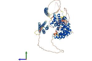 Protein Structure (PS) image for G Protein-Coupled Receptor Kinase Interactor 2 (GIT2) (AA 1-759) protein (His tag) (ABIN7547979)