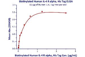 Image no. 1 for Interleukin 4 Receptor (IL4R) (AA 26-232) (Active) protein (His tag,AVI tag,Biotin) (ABIN4949032)