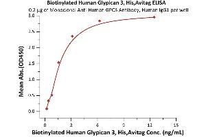 Immobilized Monoclonal A GPC3 Antibody, Human IgG1 at 2 μg/mL (100 μL/well) can bind Biotinylated Human Glypican 3, His,Avitag (ABIN5954920,ABIN6253640) with a linear range of 0. (Glypican 3 Protein (GPC3) (AA 25-559) (His tag,AVI tag,Biotin))