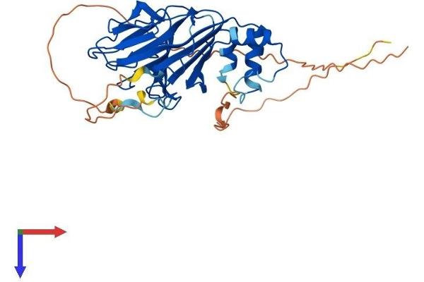 SPSB3 Protein (AA 1-354) (His tag)