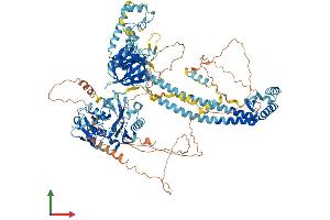 Protein Structure (PS) image for serologically Defined Colon Cancer Antigen 1 (SDCCAG1) (AA 1-1064) protein (His tag) (ABIN7564538)