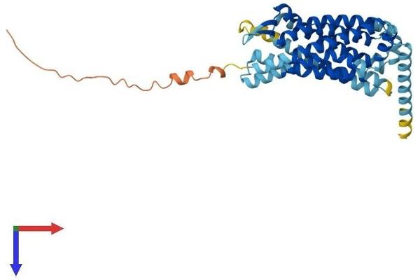 CCR9 Protein (AA 1-369) (His tag)
