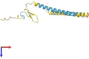 SFRS12IP1 Protein (AA 1-153) (His tag)