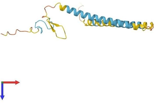SFRS12IP1 Protein (AA 1-153) (His tag)