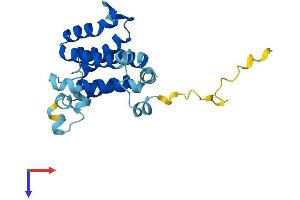 Derlin-3 Protein (AA 1-235) (His tag)