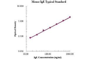 ELISA image for IgE ELISA Kit (ABIN3198435)