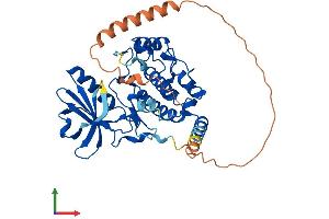 Protein Structure (PS) image for Myosin Light Chain Kinase Family, Member 4 (MYLK4) (AA 1-388) protein (His tag) (ABIN7549663)