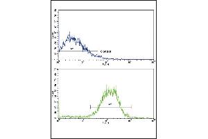 Flow Cytometry (FACS) image for anti-Cadherin 1, Type 1, E-Cadherin (Epithelial) (CDH1) (AA 160-189), (N-Term) antibody (ABIN5534948)