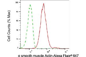 Flow cytometric analysis of α smooth muscle Actin expression in C2C12 cells using α smooth muscle Actin antibody (ABIN7797462), 1:2,000). (Rekombinanter Smooth Muscle Actin Antikörper)