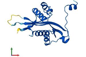 Protein Structure (PS) image for Spermidine/Spermine N1-Acetyltransferase 2 (SAT2) (AA 1-170) protein (His tag) (ABIN7545890)