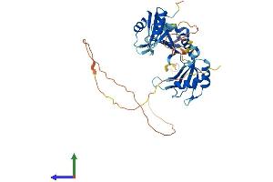 Protein Structure (PS) image for TIA1 Cytotoxic Granule-Associated RNA Binding Protein (TIA1) (AA 1-386) protein (His tag) (ABIN7544319)