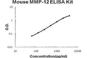 Mouse MMP-12 PicoKine ELISA Kit standard curve (MMP12 ELISA Kit)