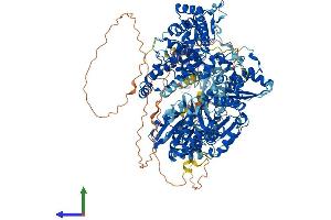 Protein Structure (PS) image for ATP-Dependent RNA Helicase A (DHX9) (AA 1-1270) protein (His tag) (ABIN7553666)