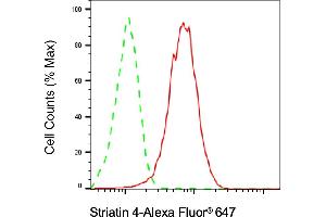 Flow cytometric analysis of Striatin 4 expression in HAP-1 cells using Striatin 4 antibody (ABIN7800444), 1:2,000). (Rekombinanter STRN4 Antikörper)